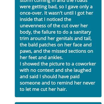 K9 Specialty Services - My response. - Pet Groomers Near Me