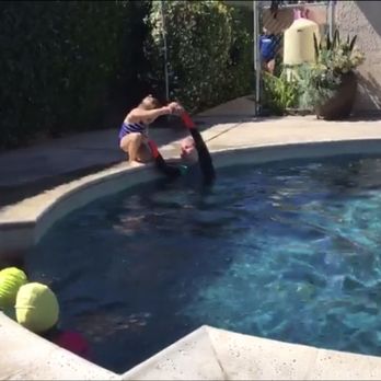 RSL Aquatics - Learning to dive! - Swimming Lessons/Schools Near Me - Upland, California RSL Aquatics - Learning to dive! - Swimming Lessons/Schools Near Me - Upland, California
