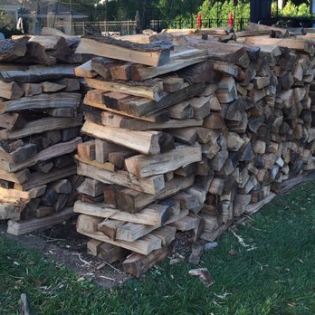Ace Tree Surgeons - Tree Services Near Me - Paramus, New Jersey Ace Tree Surgeons - Tree Services Near Me - Paramus, New Jersey