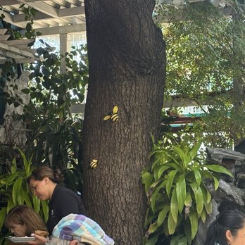 Garden Cafe - Patio - Breakfast & Brunch Near Me - San Rafael, California Garden Cafe - Patio - Breakfast & Brunch Near Me - San Rafael, California