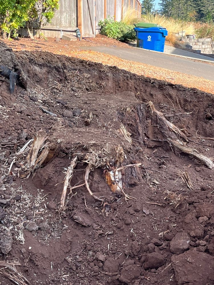 Tree North Tree Service - tree service in Salem, OR