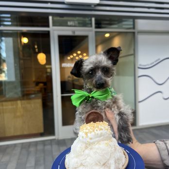 mewame - Spring Seasonal Flavor: Jasmine Green Tea Shaved Ice - Shaved Ice Near Me - West Hollywood, California mewame - Spring Seasonal Flavor: Jasmine Green Tea Shaved Ice - Shaved Ice Near Me - West Hollywood, California