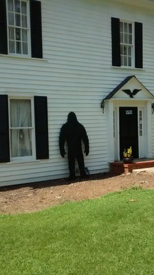 The Cryptozoology & Paranormal Museum by null