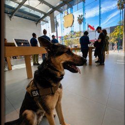 Exterior outside entrance of Dominant Dogs Training - Leonard Ludovico | Dog Behavior Specialist
Helping Aggressive, Reactive & Fearful Dogs© 2026 K9BodyLanguage.com All Rights Reserved. Exterior outside entrance of Dominant Dogs Training - Leonard Ludovico | Dog Behavior Specialist
Helping Aggressive, Reactive & Fearful Dogs© 2026 K9BodyLanguage.com All Rights Reserved.
