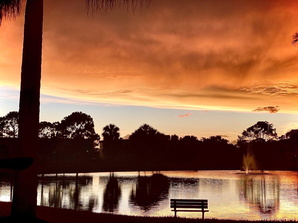 CAMERON COVE nearby at 2571 SW 79th Ave, Davie, Florida 25 Photos