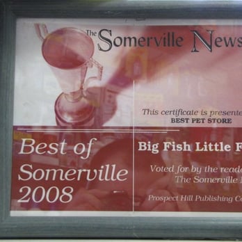 Big Fish Little Fish - A flower shop smells like flowers,A pet shop smells like animals - Pet Stores Near Me - Somerville, Massachusetts Big Fish Little Fish - A flower shop smells like flowers,A pet shop smells like animals - Pet Stores Near Me - Somerville, Massachusetts