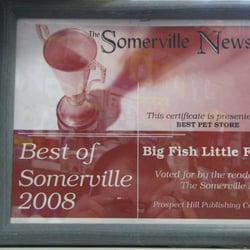 Big Fish Little Fish - A flower shop smells like flowers,A pet shop smells like animals