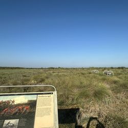 Palo Alto Battlefield National Historical Park