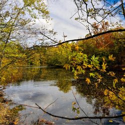 Vincent DiFilippo Nature Preserve