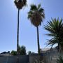 Photo of Gaytan's Landscape and Tree Services