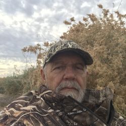 South Hills Antiques & Estate Sales - Wonderful day duck hunting