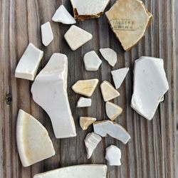 Rocky Point State Park - Assortment of sea pottery