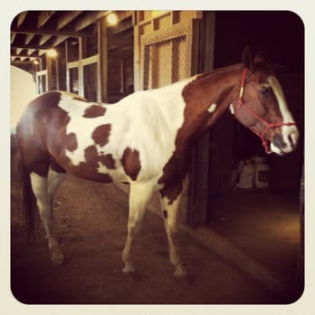 JACK TONE RANCH - Updated January 2026 - 38 Photos - 9649 N Jack Tone ...