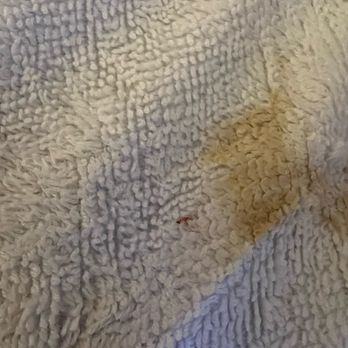 Double Eagle Resort - Dirty towels in the room. Bedding also. I documented everything and took a video when I arrived. - Resorts Near Me - June Lake, California