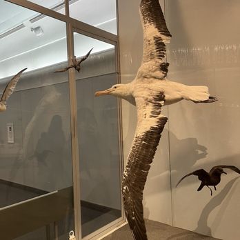 Royal Ontario Museum - Museums Near Me - Toronto, Ontario Royal Ontario Museum - Museums Near Me - Toronto, Ontario