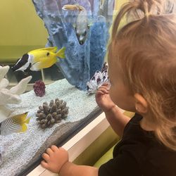 OWL Pediatric Dentistry - We love the fish tank!