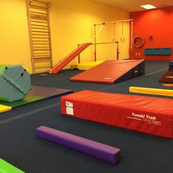 Gymtots
