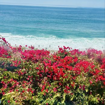 The Cliff Restaurant - View from the patio. - American Near Me - Laguna Beach, California