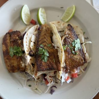 Flagler Fish Company - fish tacos - Seafood Near Me - Flagler Beach, Florida Flagler Fish Company - fish tacos - Seafood Near Me - Flagler Beach, Florida
