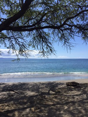 Olowalu Beach by null