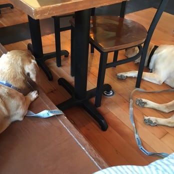 The Independent Beer Bar - Pups hanging out at the bar! - Beer Bar Near Me - Everett, Washington The Independent Beer Bar - Pups hanging out at the bar! - Beer Bar Near Me - Everett, Washington