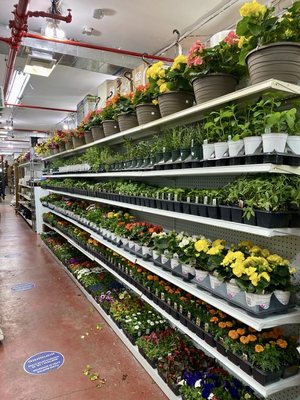 Mushtari Hardware & Garden by null