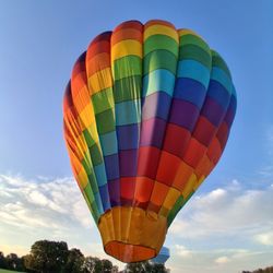 Palmetto Sun Balloons