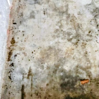 Atlas Moving Company - Rat feces found in entire storage unit.  Rats destroyed faux plants, clothing and other items. - Movers Near Me