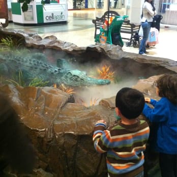 Rainforest Cafe - American Near Me - Ontario, California