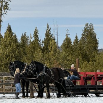 Dashing Thru the Snow - Team getting read for our ride. - Sledding Near Me - Fraser, Colorado Dashing Thru the Snow - Team getting read for our ride. - Sledding Near Me - Fraser, Colorado