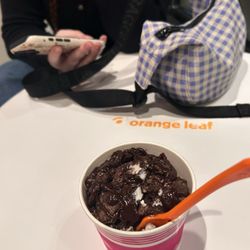 Orange Leaf Frozen Yogurt - Frozen yogurt