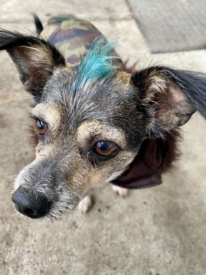 Revival Coffee by null