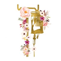 Bella Vita Aesthetics and Wellness