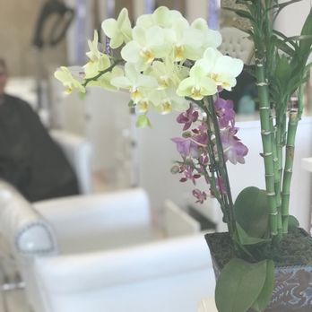 Valanciaga - Hair Salons Near Me - Burbank, California Valanciaga - Hair Salons Near Me - Burbank, California