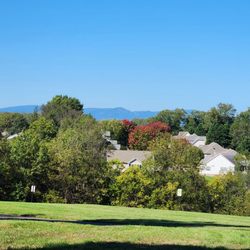 Rockwater Park - Mountains in the background