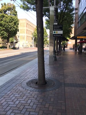 PSU Urban Center Southwest 6th & Montgomery Street