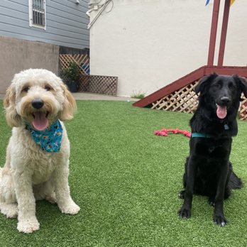 Expert Pet - Pet Stores Near Me - San Francisco, California