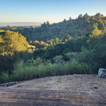 Dominion Brush Clearing - Land after clearing - Lawn Services Near Me Dominion Brush Clearing - Land after clearing - Lawn Services Near Me