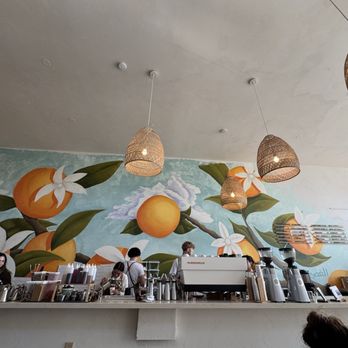 Jaffa Coffee Roasters - Coffee & Tea Near Me - Berkeley, California Jaffa Coffee Roasters - Coffee & Tea Near Me - Berkeley, California