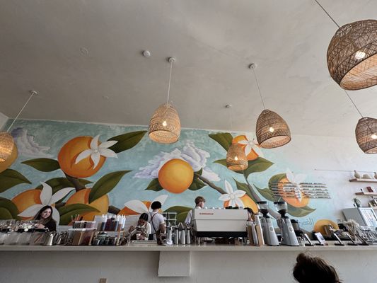 Jaffa Coffee Roasters by null