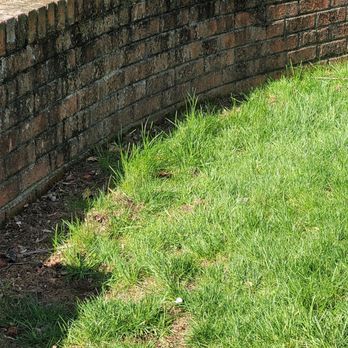 Precision Cutz Lawn Care - Lazy mowing - Lawn Services Near Me - Carmel, Indiana
