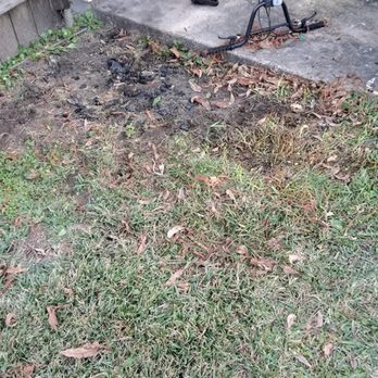 Alpha Dog Junk Removal - Yard Clean out (after) - Junk Removal & Hauling Near Me