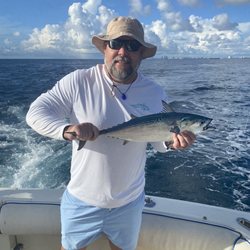 Top Shot Sportfishing Charters - Bonito -- like the 7th one caught in as many minutes!