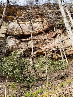 Daniel Boone National Forest by null