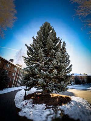 Sun Valley Resort by null