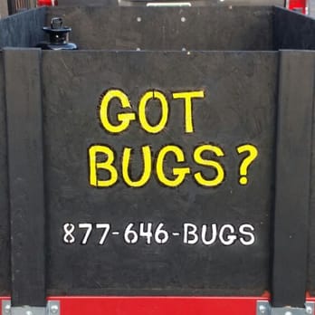 Just Bedbugs Pest Control - Pest Control Near Me - Colorado Springs, Colorado Just Bedbugs Pest Control - Pest Control Near Me - Colorado Springs, Colorado