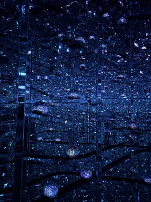 teamLab Borderless: MORI Building DIGITAL ART MUSEUM by null