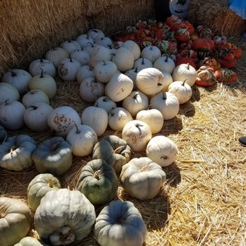 Lane Farms - Fruits & Veggies Near Me - Santa Barbara, California