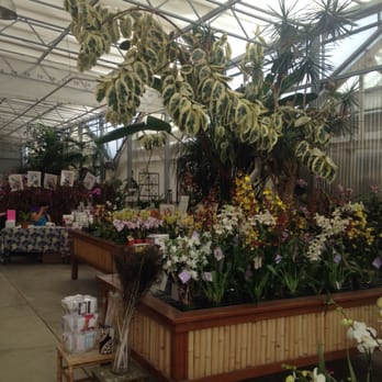 Westerlay Orchids - Nurseries & Gardening Near Me - Carpinteria, California