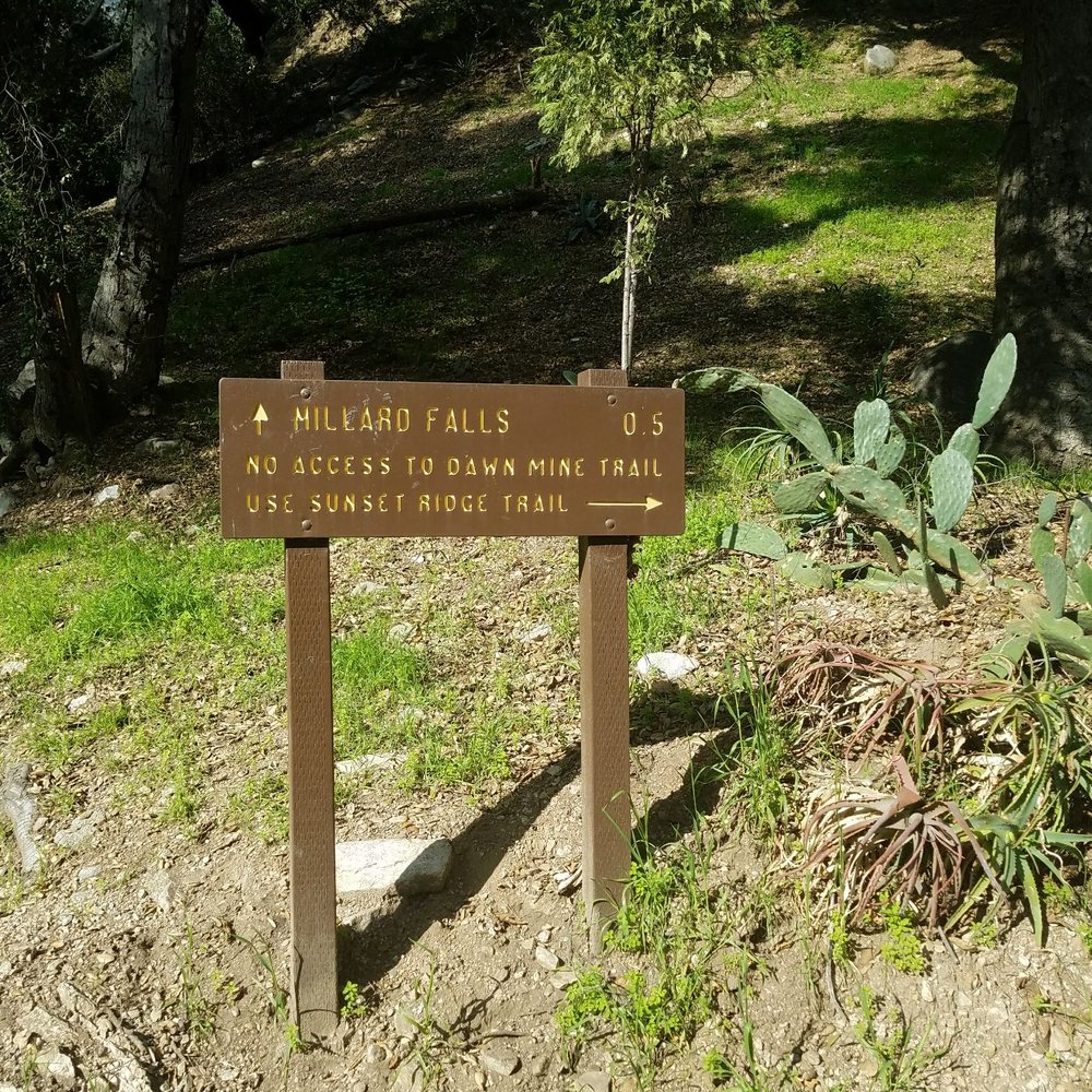 Millard Canyon - Parks Near Me - Altadena, California Millard Canyon - Parks Near Me - Altadena, California